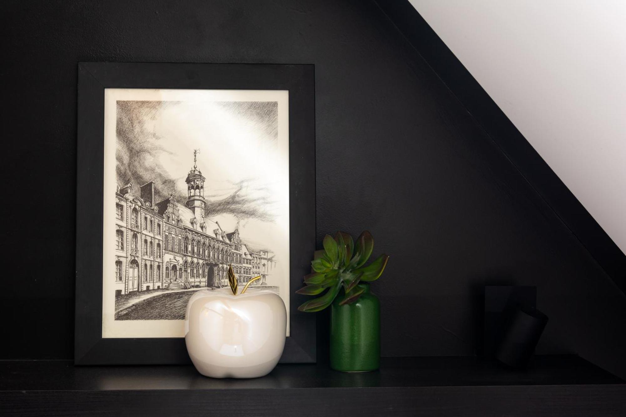 Loft De La Raquette Appartement Bergen Buitenkant foto
